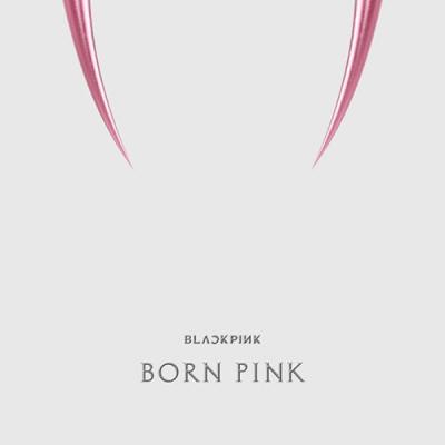 블랙핑크앨범 블랙핑크 (BLACKPINK) - 2nd ALBUM [BORN PINK] 키트앨범