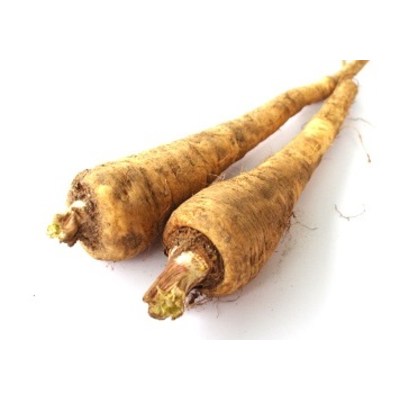 파스닙 국내산 파스닙 300g 설탕당근 parsnip, 단품