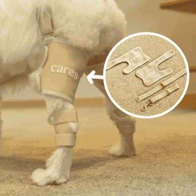 강아지슬개골탈구마사지 [100% 국내 제작] 케어즈 1+1 왼발 오른발 구성 강아지 슬개골 비절 탈구 보호대 산책 밴드