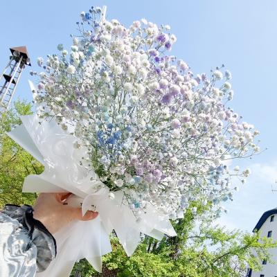 프로젝트꽃 [로켓프레시] 모리앤 생화 오로라 안개 꽃다발